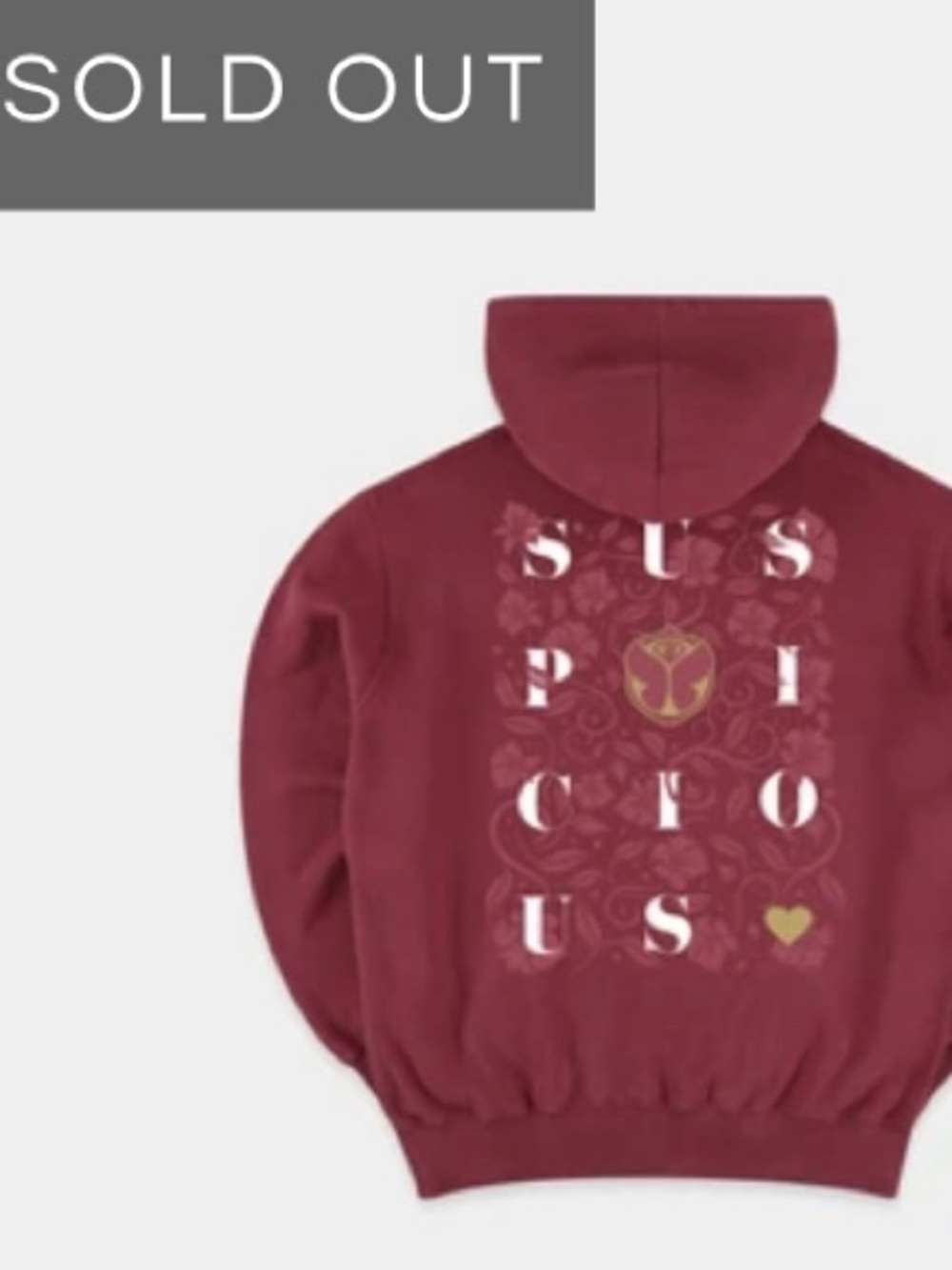NWT Suspicious Antwerp x Tomorrowland “The Playground” Limited Edition Hoodie